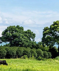 ������ŵ�û�������ֵľ��㣬ȴ�������������۾���