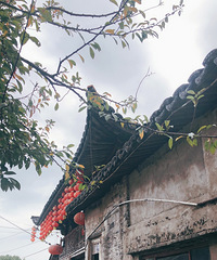 ���ҳ��ùŴ壬ԭ֭ԭζ�ĹŴ����ʱ�Ļ���