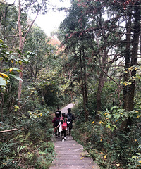 48���ڻ�ɽ���溣��400�׵���߷��ϣ���������桱��Ӱ