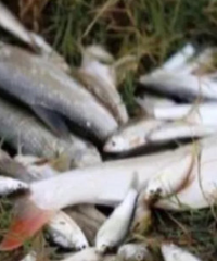 ���ߣ�Ϊ��3���㣬4���Ӿ�Ȼ����22��β�㣿��