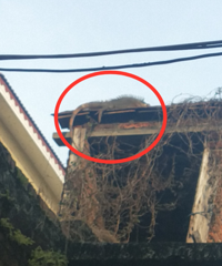 ���������ݶ����й��ޣ���Ů�Ӽ��д���޾޾޴�ֻ�����涯�.