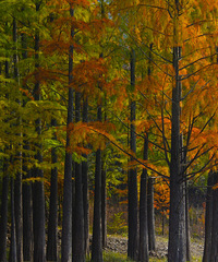 ������һ��̽Ѱ�������������һ�й���������