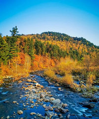 �����й�������6�����еأ�������һ�����Ҿ��̲�ס��