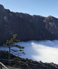 92��·��GG��˶�ͣ�ϲ���Լ���Ӱ����28�꼰����Ů��