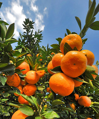 ��Ķ���ٺ���Ʈ�㣬������������Ӷ��������