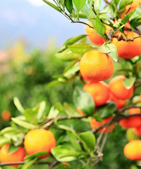 ��Ķ���ٺ���Ʈ�㣬������������Ӷ��������