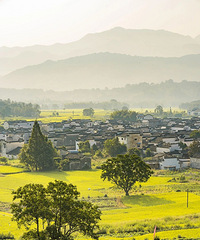 �����ͻ���������ǧĶ��ɼ�ֱ��