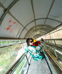 ��û���Σ����������š�����ũ���֡�ɽ��۲�ժ�����ٰ��ţ�