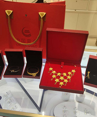 �ѽ�����ؼң����ſ���������