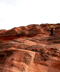 �����Ͽ�ȣ��ط�����������˻��ǲ���