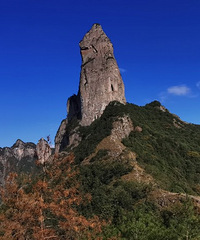 ���ɾ������ң�Զ�����˺���