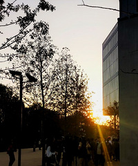 ��ϵ��Ů�ѣ�92�꽷��GG����178