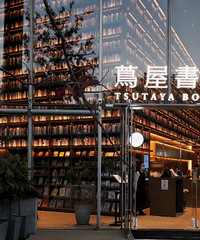 ��ϵ��Ů�ѣ�92�꽷��GG����178