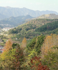 �춹���Ϲ�����������˼