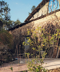 ɽ����������ĩ��ů���ر������