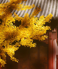 ���ݵ�����Ӳ�����ʧ������15���ط���ֵ��ȥ