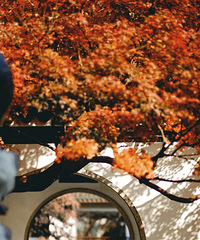 ���ݵ�����Ӳ�����ʧ������15���ط���ֵ��ȥ