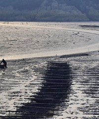 ���ŵġ����ϲ�԰�ӡ���������������̲Ϳ�羰���������