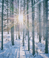 �й�����ӵı����سǣ���Ĳ�����ʿ