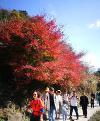 ���˻���.ͽ����ϼ�Ӻ��ŵ�