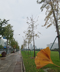 ��¼�����ճ�����