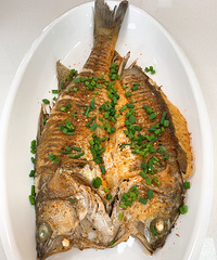 ��庣���㣬���������Ƽ��ɳ���