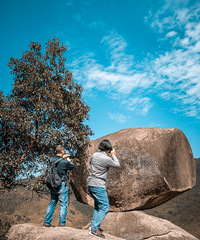 ͽ������ɽ