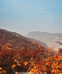 ���������ɱ��������ģ����治��