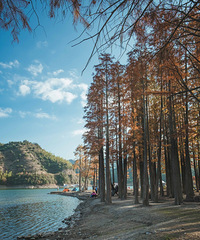 ��ĩ�ɾӹ�̹ˮ��¶Ӫ��������¶Ӫ��