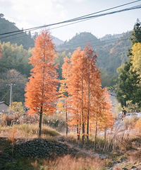 ��ĩ�ɾӹ�̹ˮ��¶Ӫ��������¶Ӫ��