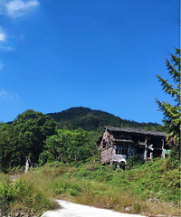 ��ס����״������ɽͷ��������м�