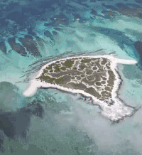 �й����Ĵ�Ů���������ʤ����