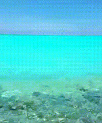 �й����Ĵ�Ů���������ʤ����