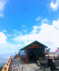 ������Ұ�ƺ�����-���֮��