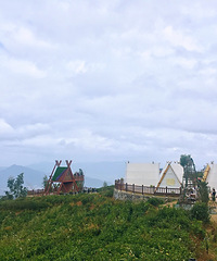 ������Ұ�ƺ�����-���֮��