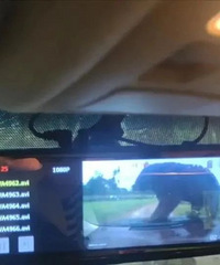 ���꣡�ο��Լ���Ұ������԰������ѹ�ѳ���ǰ���粣������