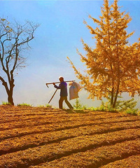 �������С���������ң�2000��Ķ���ӱ�ؽ��