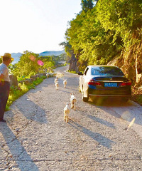 �������С���������ң�2000��Ķ���ӱ�ؽ��