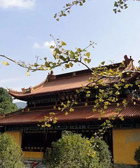 �ٺ�������Ӱ��ȥ����ߵ��ǧ����µĴ��ţ���������