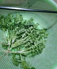 ������ɢ��ʱժ��Ұ�ˣ�����ʱ��һ��ͦ�óԵ�