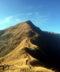 �۾������ã������ڵ������Ƕ��书ɽ��õ�ע��