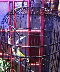 �Ż��ˣ�֪������������Է��������ϴ������������ĵ��ǡ���