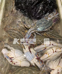 һ�ٷ�1900Ԫ��������Ӧ������ȴ˵��ûë��