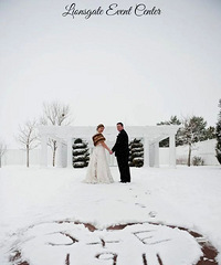 ��ѩ��Ļ�ɴ�ս̿��飬����ȥ����