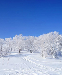 �������İ�ѩ�����������ϲ��ѩ��������