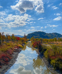 ��ʰ�쵵ļ������ɫ--��׵�«���ͻ��ķ�Ҷ�����ӳ