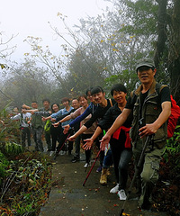 Ψһ�ľ�����ʯţ���ϵ���ͤ���ȣ�����Ʈ��