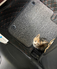 è�䱦�����ߵ�����