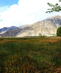 ���������ء������Լ���һ�� ����Ѱ��·֮�չ������