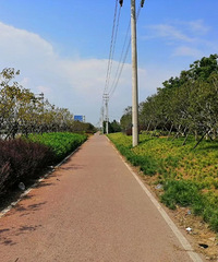 83�������ʿ����ͨ�ϰ��壬�����з�����������